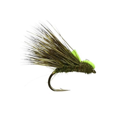 Olive Sedgehog - 1
