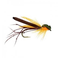 Orange Foam Daddy - 1