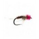 Pimpbug Tungsten Nymph Barbless - 1