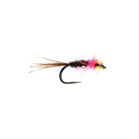 Pink Rapid Pheasant Tail Tungsten Nymph Barbless - 1