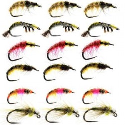 Essential Czech Nymphs - 1