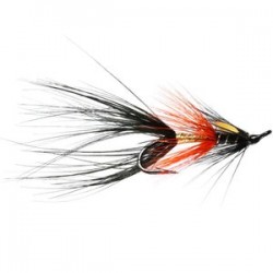 Black Shrimp Salmon Double - 1