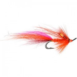 Calvin Shrimp Salmon Double - 1