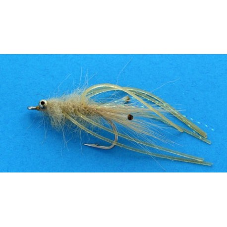 Mantis Shrimp Shrimp Pattern - 1