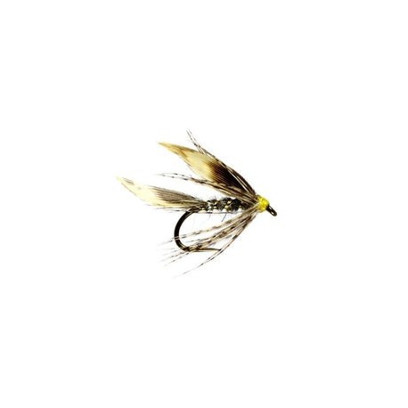 Gold Ribbed Hares Ear Winged Wet Fly - 1