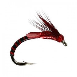 S Film Emerger Claret Buzzzer - 1