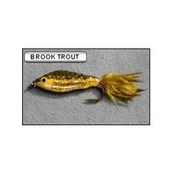 Brook Trout