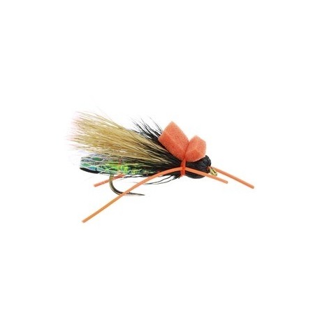 Criss Cross Cicada - 1