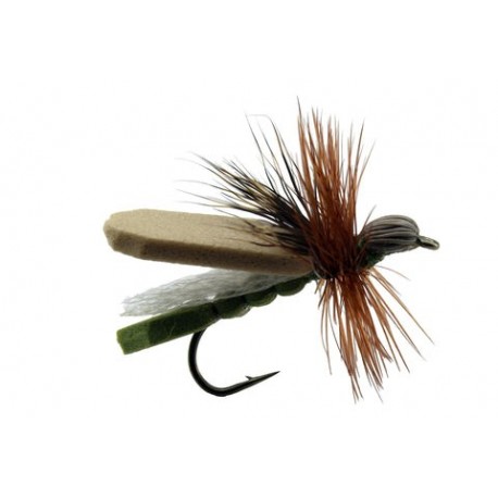 Green Leaf Hopper - 1