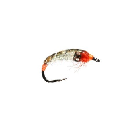 Orange Pearl Tungsten Nymph Barbless - 1