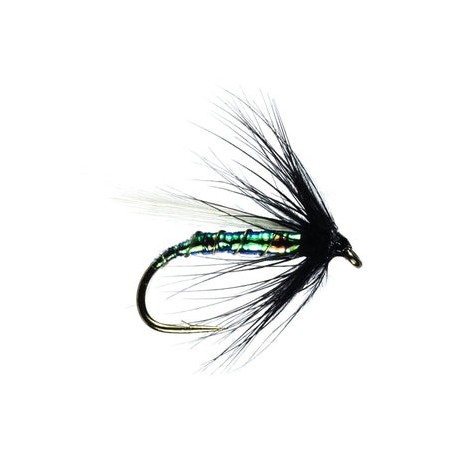 Blue Bottle Hackled - 1