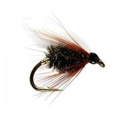 Coachman Winged Wet Fly - 1