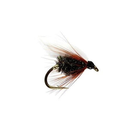 Coachman Winged Wet Fly - 1