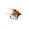 Invicta Winged Wet Fly