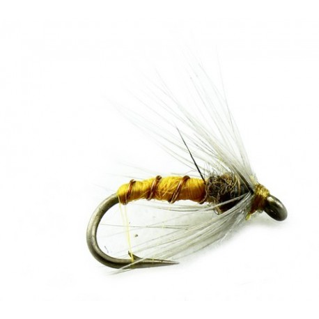 Partridge and Yellow - 1