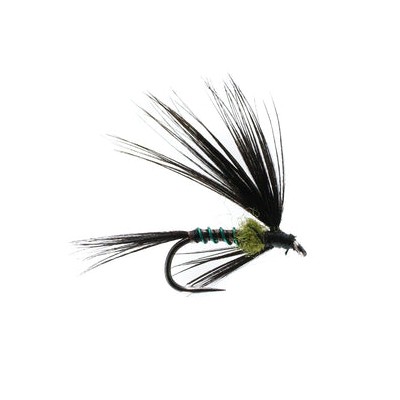 Barbless Universal Wet