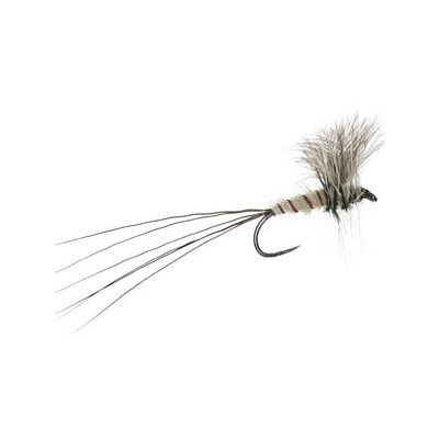 Cdc Mayfly Dun