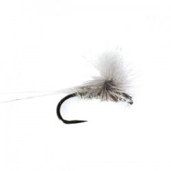 Barbless White Water Dry - 1