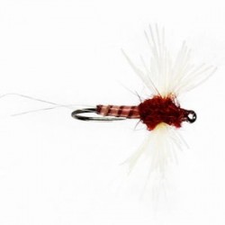 Rusty Spinner Barbless - 1