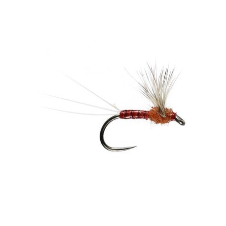 Sherry Spinner Barbless - 1