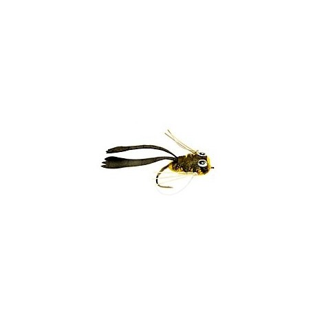 Dry Rind Frog Popper - 1