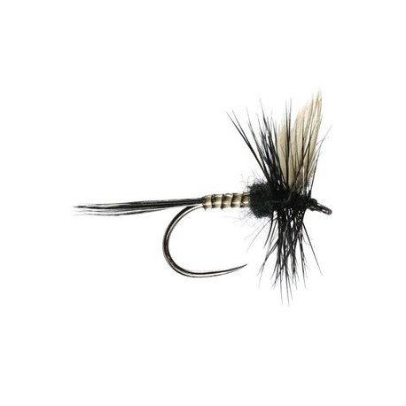 Black Gnat Barbless - 1