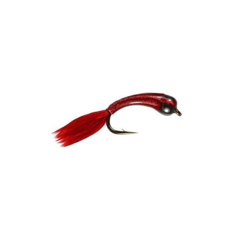 Beaded Bloodworm Stalking Bug - 1