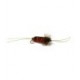 Bitch Creek Stonefly - 1
