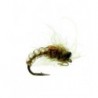 Caddis Pupa Olive