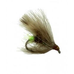 Egg Laying Caddis - 1