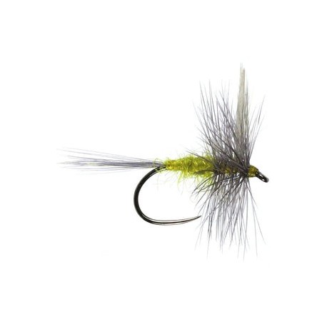 Blue Winged Olive Barbless - 1