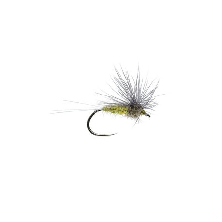Blue Winged Olive Stacked Hackle Barbless - 1