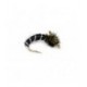 Zebra Midge - 1