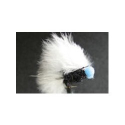 Booby White Fritz Blue Eyes