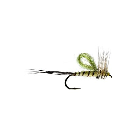Aerowing Mayfly Dry - 1
