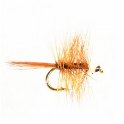 Bi Visable Brown - 1