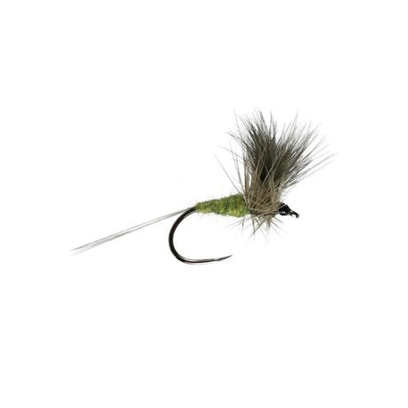Blue Winged Olive Cdc - 1