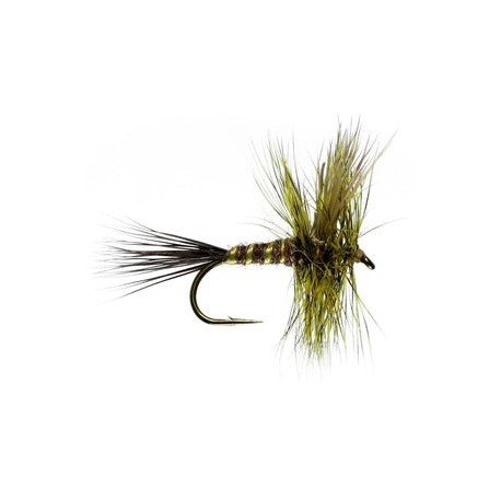 Brown Drake Mayfly - 1