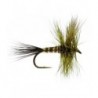 Brown Drake Mayfly