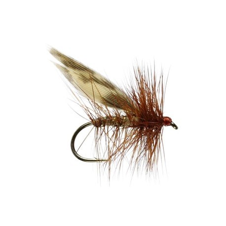 Brown Flag Sedge - 1