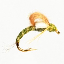 Cdc Biot Loopwing Bwo