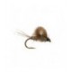 Cdc Emerger Hares Ear - 1