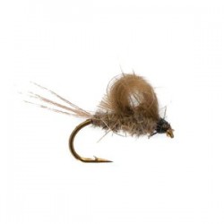 Cdc Emerger Hares Ear