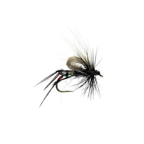 Cdc Hopper Black - 1