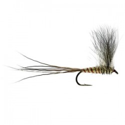 Cdc Mayfly Dun