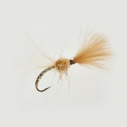 Cdc Shuttlecock Hares Ear