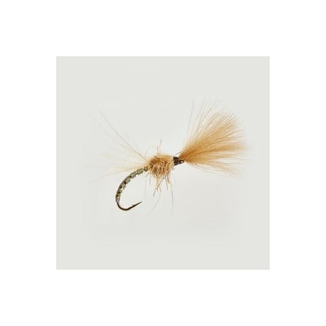 Cdc Shuttlecock Hares Ear - 1