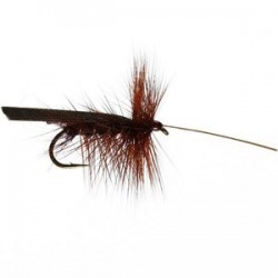 Claret Murrough Sedge