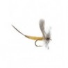 Detached Mayfly White Drake