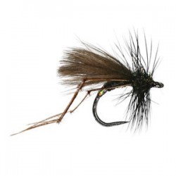 Drowning Hawthorne - 1